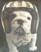 ShowRoom d'Oliv Logo